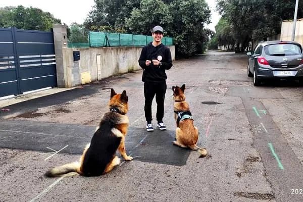 Alexis en compagnie de 2 bergers allemands
